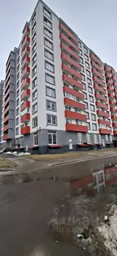 Студия Санкт-Петербург пос. Шушары, Московское ш., 262к1 (21.7 м)