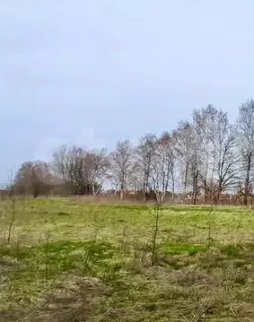 Участок в Калининградская область, Зеленоградский муниципальный округ, ...