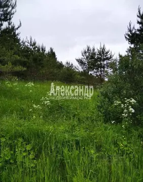 Участок в Карелия, Лахденпохский муниципальный округ, пос. Оппола  ...