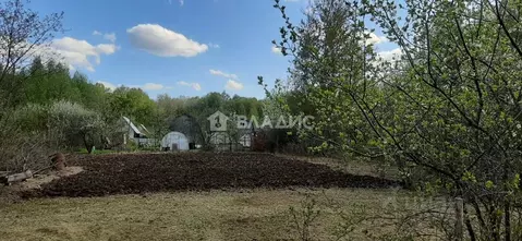 Участок в Владимирская область, Суздальский район, Новоалександровское ...