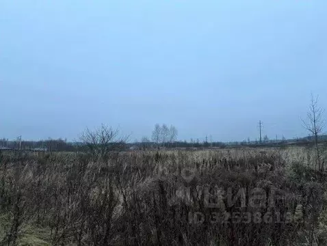 Участок в Московская область, Серпухов городской округ, д. Нефедово  ...