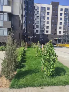 Студия Краснодарский край, Темрюк Дальняя ул., 30 (30.0 м)