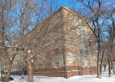 Студия Алтайский край, Барнаул ул. Эмилии Алексеевой, 72 (16.0 м)