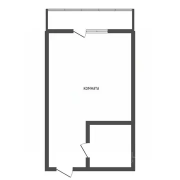 Студия Воронежская область, Воронеж Ростовская ул., 100БкБ (17.6 м)