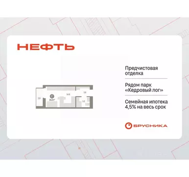 Студия Ханты-Мансийский АО, Сургут 1-й мкр, Нефть жилой комплекс (24.0 ...