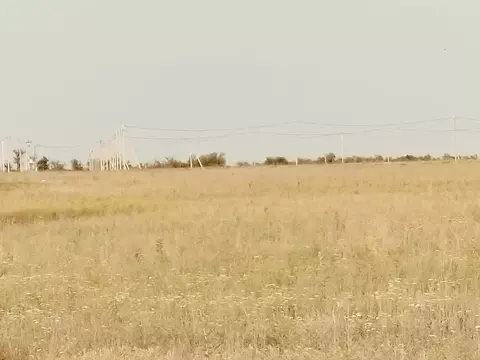 Участок в Оренбургская область, Оренбург городской округ, с. Пруды  ...