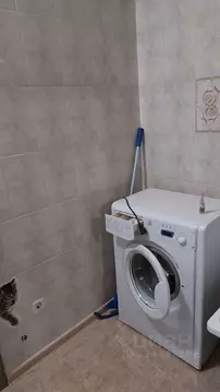 1-к кв. Тюменская область, Тюмень Широтная ул., 189к1 (42.0 м)