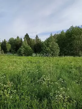 Участок в Ленинградская область, Кировский район, Шумское с/пос, Живой ...