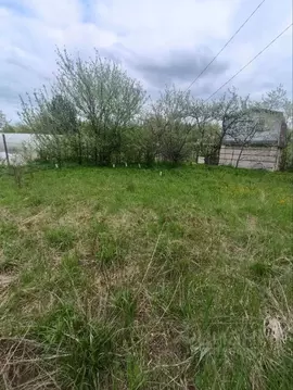 Участок в Нижегородская область, Кстово Пион садовое товарищество, 32 ...