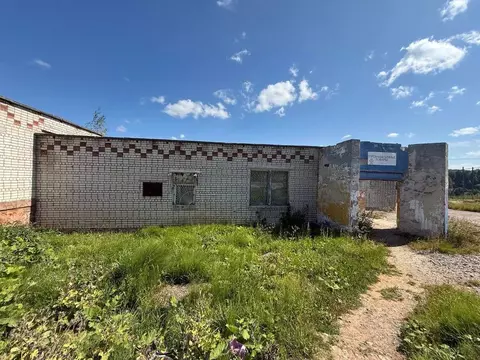 Помещение свободного назначения в Пермский край, Березники ...