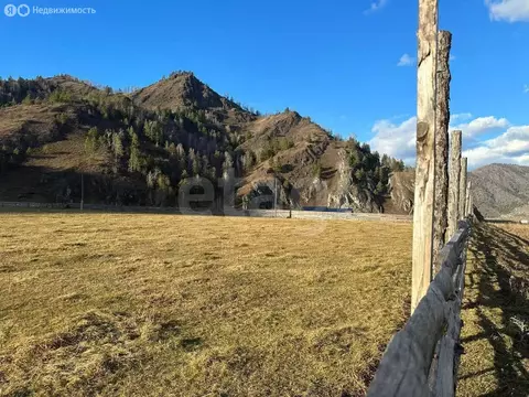 Участок в Чемальский район, село Анос (10 м)