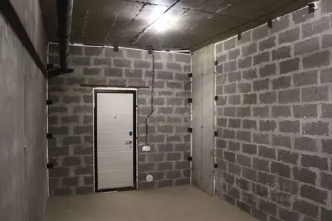 Помещение свободного назначения в Краснодарский край, Анапа ул. ...