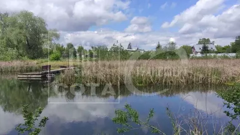 Участок в Воронежская область, Новоусманский район, Орловское с/пос, ...