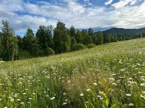 Участок в Алтай, Чемальский район, с. Бешпельтир  (3.31 сот.)