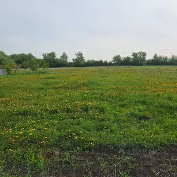 Участок в Тульская область, Веневский муниципальный округ, д. ...