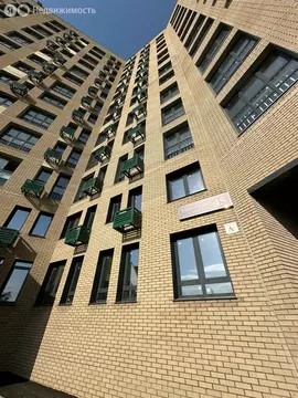 2-комнатная квартира: Некрасовский, Заводская улица, 45 (55.7 м)