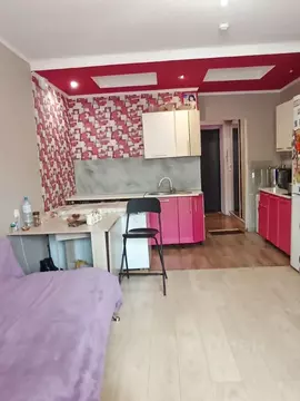 Студия Башкортостан, Уфимский район, с. Михайловка ул. Сливовая, 5 ...