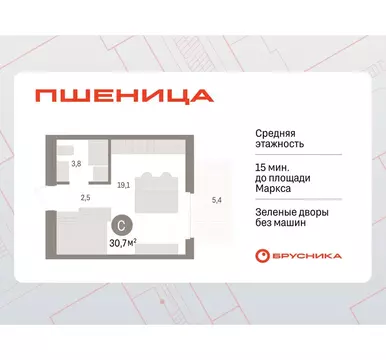 Квартира-студия: Новосибирский район, рабочий посёлок Краснообск, 3-й ...