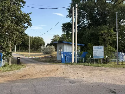 Участок в Волгоградская область, Среднеахтубинский район, Куйбышевское ...