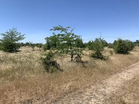 Участок в Адыгея, Майкоп ул. Тембота Керашева (6.6 сот.)