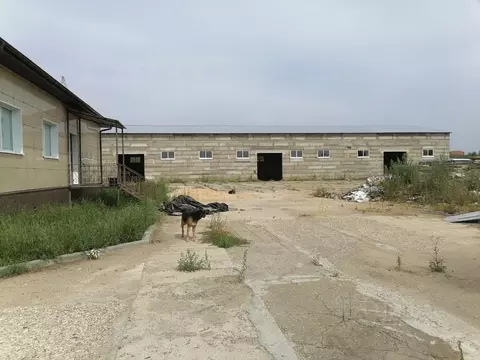 Офис в Московская область, Коломна Окский просп., 164 (100 м)