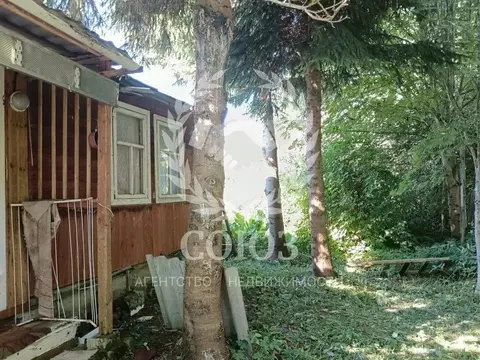 Участок в Калужская область, Перемышльский район, Ахлебинино с/пос, с. ...