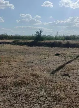 Участок в Курганская область, Кетовский муниципальный округ, с. ...