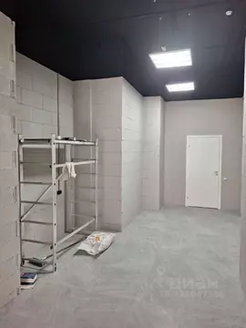 Помещение свободного назначения в Санкт-Петербург ул. Среднерогатская, ...