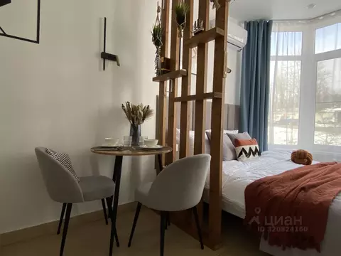 Студия Краснодарский край, Сочи Транспортная ул., 78/3 (22.0 м)