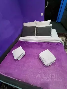 1-к кв. Красноярский край, Норильск ул. Горняков, 3 (15.0 м)