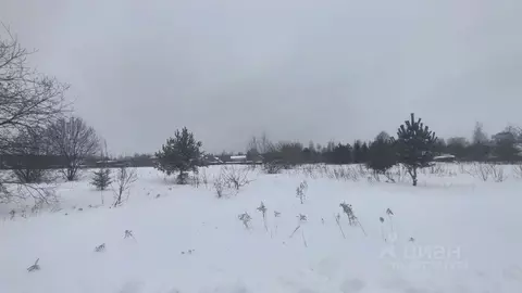 Участок в Московская область, Раменский муниципальный округ, с. ...