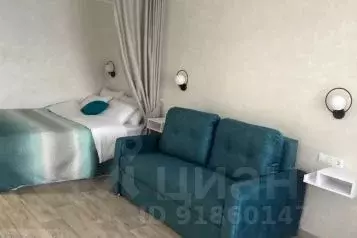 1-к кв. Саратовская область, Саратов Московская ул., 137/149 (29.0 м)