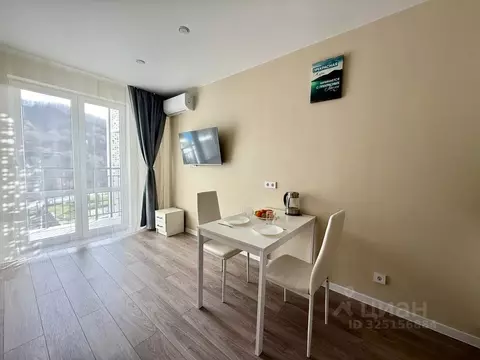 Студия Краснодарский край, Сочи ул. Искры, 88к3 (28.0 м)