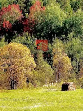 Участок в Пермский край, Пермь № 69 КС, 53 (9.55 сот.)