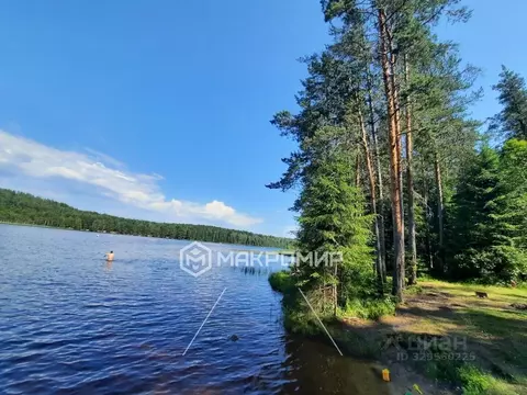 Дом в Ленинградская область, Всеволожский район, Сертоловское ...