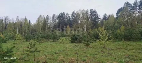 Участок в Брянская область, Брянский район, с. Домашово  (15.0 сот.)