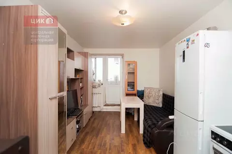 Студия Рязанская область, Рязань ул. Стройкова, 51 (17.7 м)