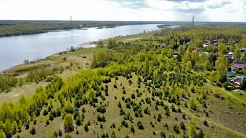 Участок в Тверская область, Кимрский муниципальный округ, д. Тихоново ...