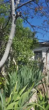 Дом в Севастополь ул. Лагерная (96 м)