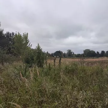 Участок в Московская область, Павлово-Посадский городской округ, д. ...