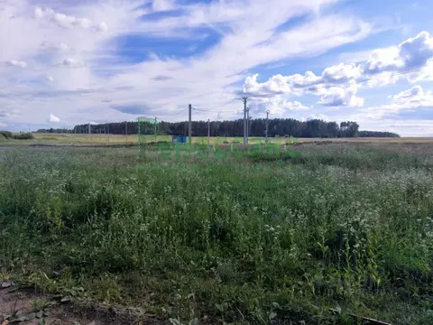 Участок в Брянская область, Брянский район, Новодарковичское с/пос, д. ...
