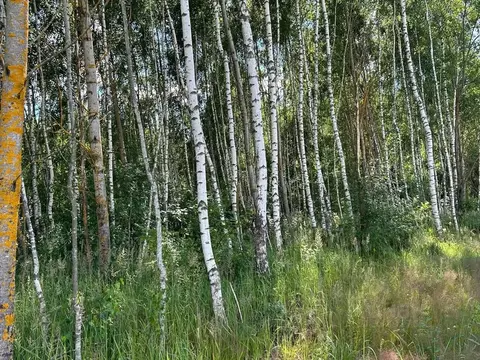 Участок в Московская область, Шатура муниципальный округ, пос. ...