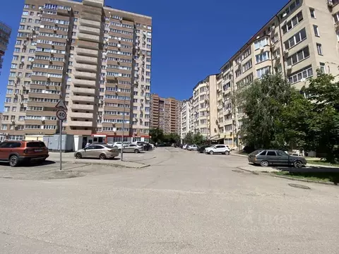 Помещение свободного назначения в Краснодарский край, Краснодар просп. ...