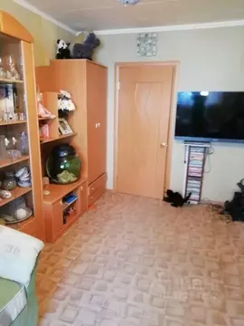 3-к кв. Брянская область, Брянск ул. Гоголя, 10 (64.0 м)