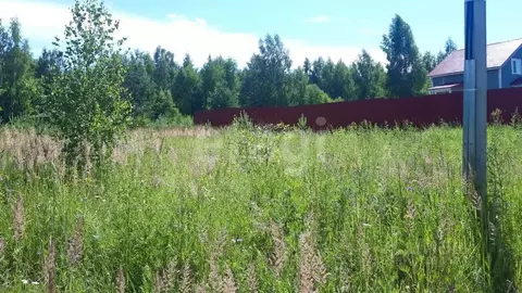 Участок в Ярославская область, Некрасовское с/пос, пос. Золотой Колос  ...