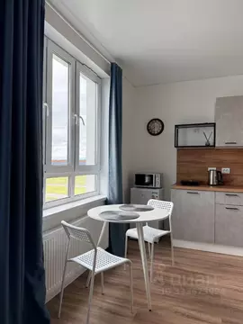 Студия Москва ул. Гренадерская, 9к1 (22.3 м)