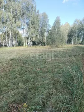 Участок в Владимирская область, Петушинский район, Пекшинское ...