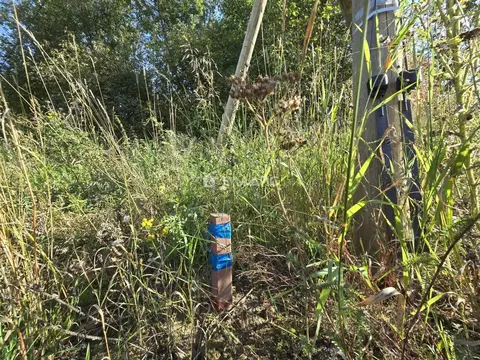 Участок в Карелия, Пряжинский район, Чалнинское с/пос, д. Виданы  ...