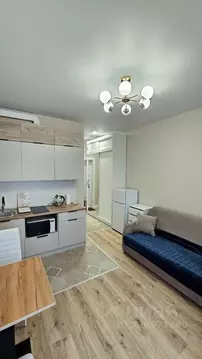 Студия Москва просп. Прокшинский, 5 (22.0 м)