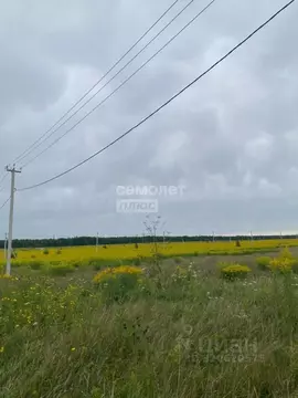 Участок в Алтайский край, Бийск ул. Якова и Ивана Максюковых, 36 ...